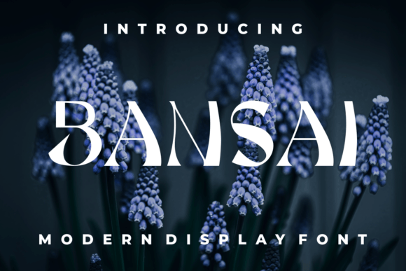Bansai Display Font Review for Design Projects