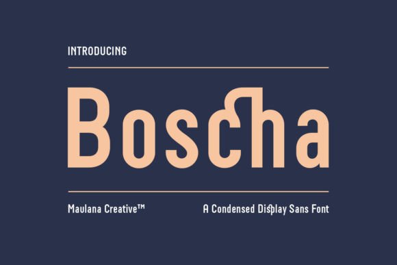 Boscha: The Display Font That Boosts Your Campaign’s Visual Impact