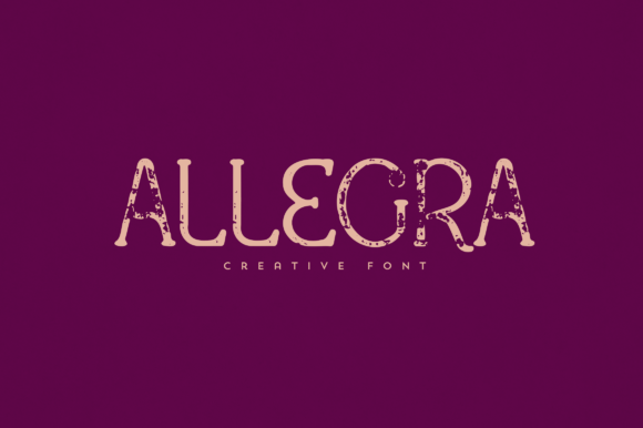 How Allegra Transformed My Brand's Visual Identity