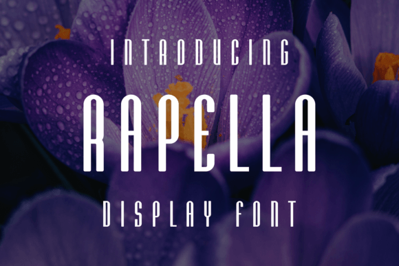 Rapella: A Cool Font That Boosted My Brand’s Look